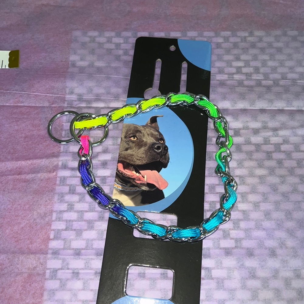 Colorful choker collar